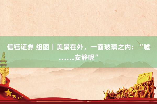 信钰证券 组图｜美景在外，一面玻璃之内：“嘘……安静呢”
