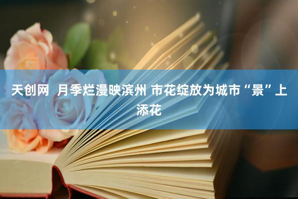 天创网  月季烂漫映滨州 市花绽放为城市“景”上添花
