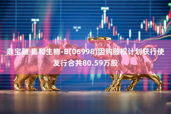鼎宝融 嘉和生物-B(06998)因购股权计划获行使发行合共80.59万股