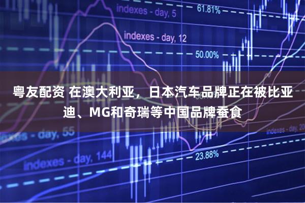 粤友配资 在澳大利亚,日本汽车品牌正在被比亚迪、MG和奇瑞等中国品牌蚕食